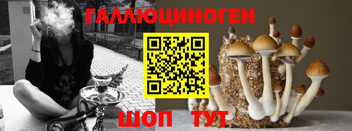 Псилоцибиновые грибы ЛСД  Вход с VPN  Богородск 